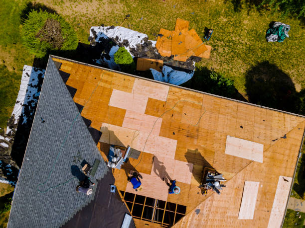 Best Roof Repair Services  in Wtell, LA