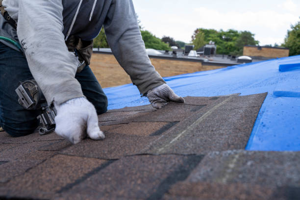 Best Roofing Contractor Near Me  in Wtell, LA